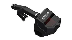 2017-2020 FORD F-150/RAPTOR 3.5L V6 ECOBOOST TURBO TT CORSA AIR INTAKE DRYTECH